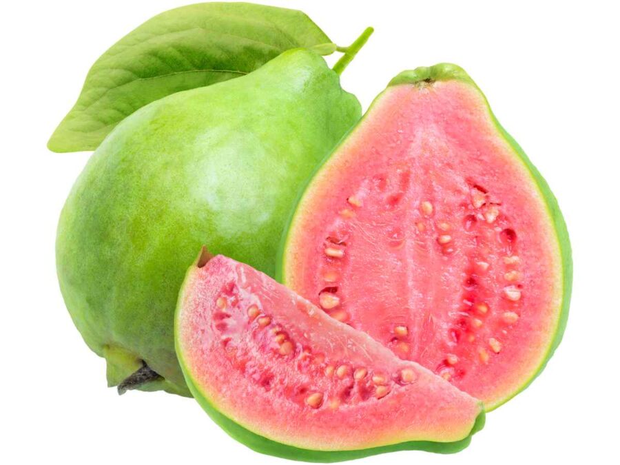 GUAVA