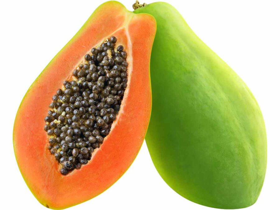 Papaya