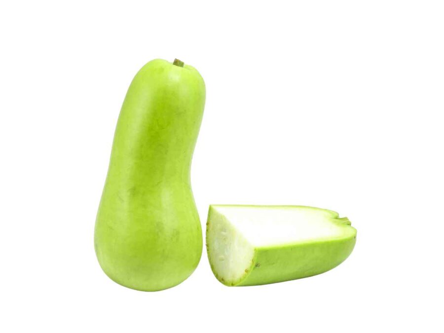 Bottle Gourd