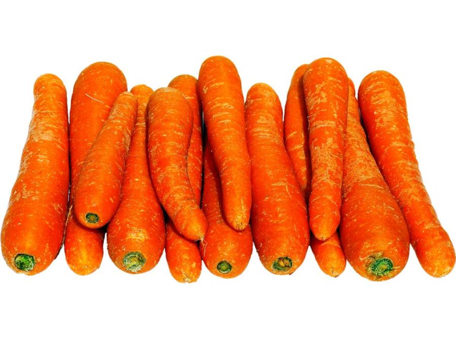 Carrot
