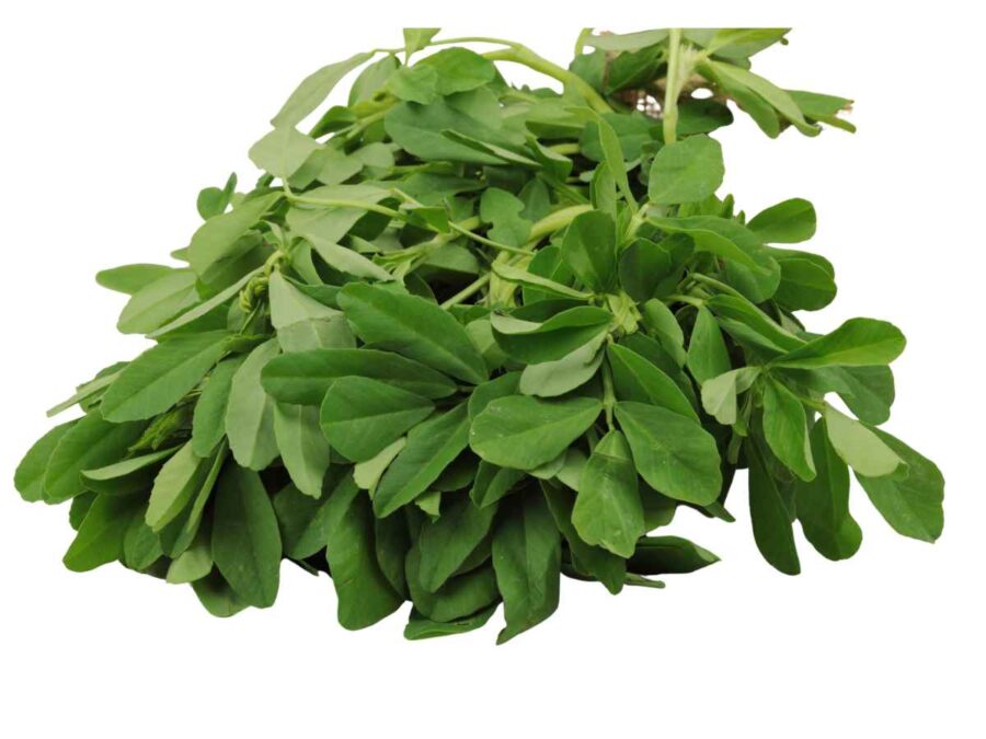 Fenugreek Leaves