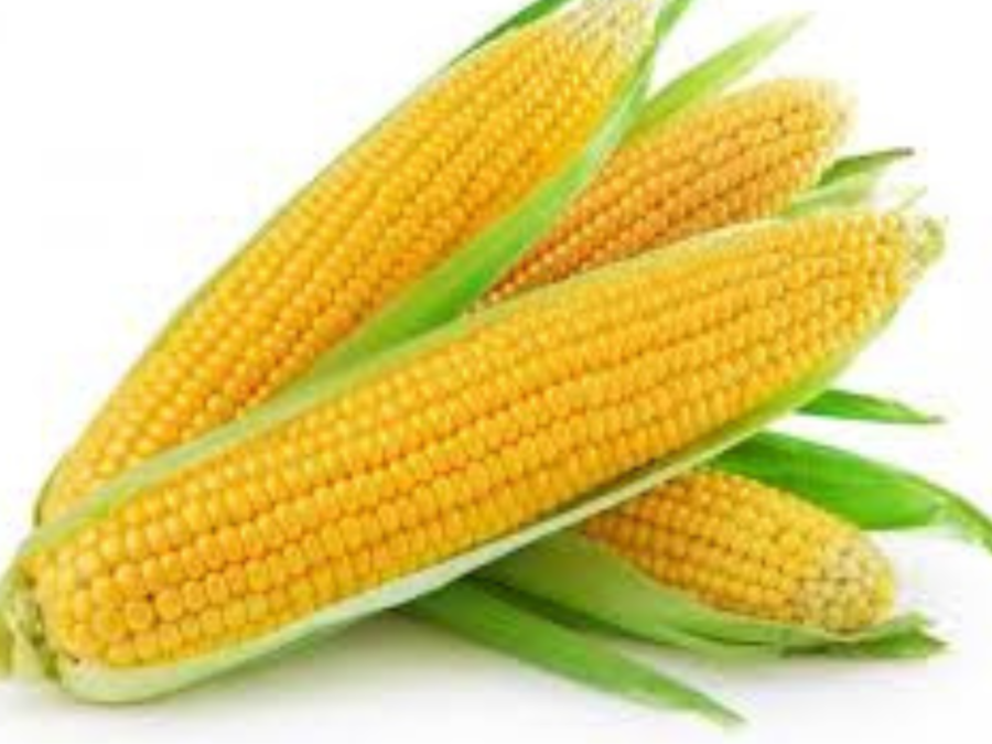 Corn